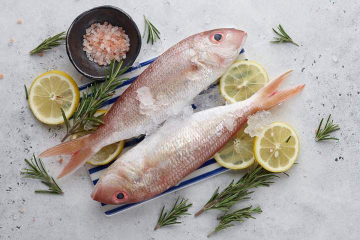 Poisson frais, L'Ancienne-Lorette