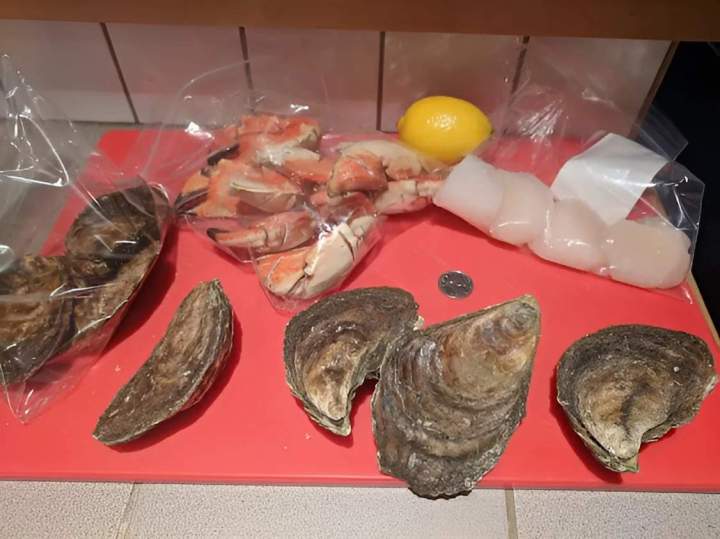 Commercialisation de fruits de mer Saint-Romuald