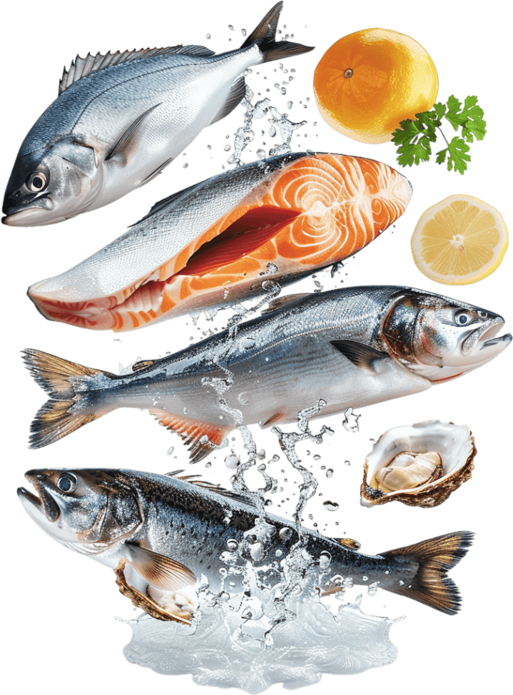 Commercialisation de poisson frais Saint-Romuald