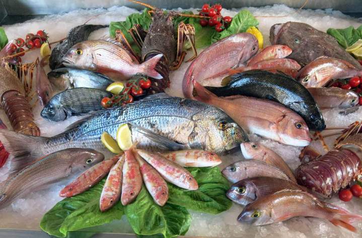 Découvrez nos variétés de poissons frais !
